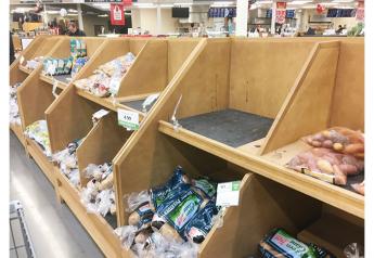 Potato displays were shopped down in the mid-March ‘panic buying’ stage of the pandemic.