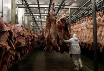 Brazil has suspended beef exports to China as a result of the discovery of a BSE-infected cow.