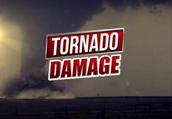 A tornado on March 12 near Roswell, New Mexico, damaged a number of dairy farms and forced at least one farm to euthanize at least 150 cattle.