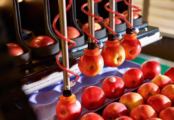 Robotics Plus’ robotic Aporo apple packer won the New Zealand Trade & Enterprise Most Innovative Hi-Tech Agritech Solution