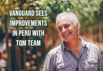Vanguard establishes Total Quality Management in Peru for grapes