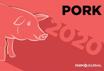 Pork Outlook: Don’t Let Your Guard Down in 2020