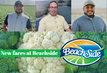 Beachside adds sales, procurement and organic experience