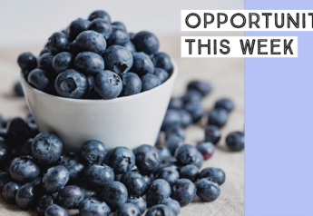 Opportunity buys for week of 11/1 — Blueberries, cucumbers, limes