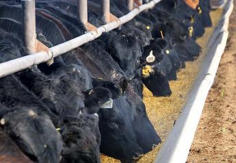 Divestment plan leads to ownership changes for 11 feedlots