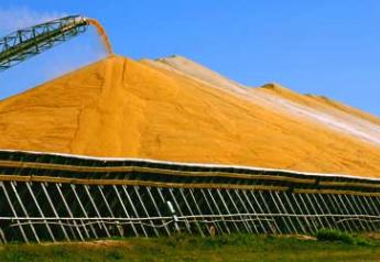 Grain Pile