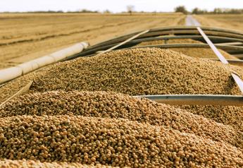 Soybeans in Cart