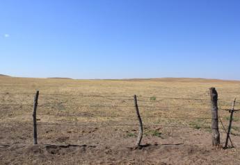 Nebraska_Pasture_Drought
