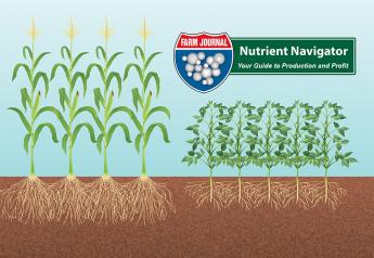 Nutrient Navigator Series