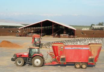 Silage_-_Ron_Kuber_4-09_193_-_Copy