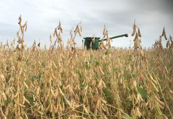 Soybeans and Combine