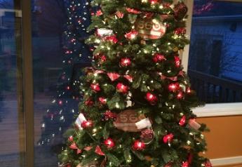 Tractor_Christmas_Tree._rachel_gingell