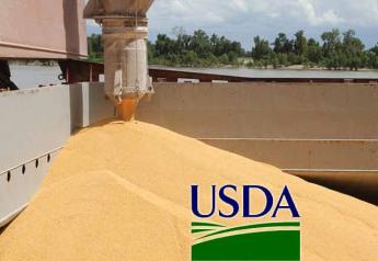 USDA-corn-exports