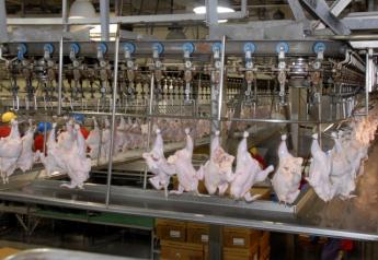 The Kansas Legislature hopes to encourage large-scale poultry operations within the state.