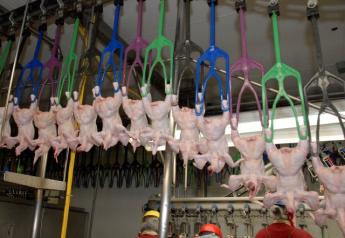 USDA_Chicken_Processor_Poultry_4