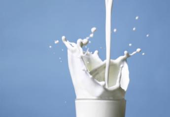 Could Milk Prices Rebound in 2016? 
