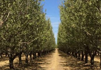 U.S. nut, date and dried fruit producers battle challenges beyond the farm