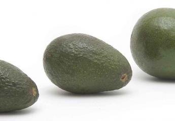 2021 Mexican avocado business updates 