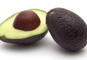Avocado suppliers, what’s your outlook for the fall deal?