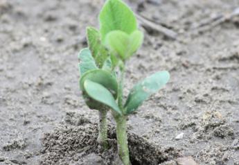 3 Steps To Soybean Success