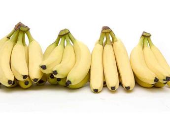 Bananas lead U.S. imports from Central America