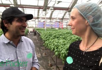 Touring Brooklyn's Gotham Greens atop Whole Foods Market