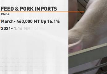 Growing Hunger: China's Imports of Pork and Feed Grain Surge in March