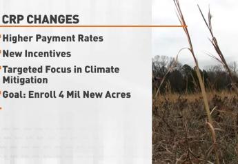 USDA to Open CRP Enrollment With Higher Payment Rates, New Incentives 