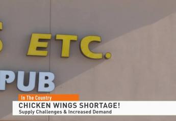 Will Chicken Wing Shortage Open Doors for More Pig Wing Sales?