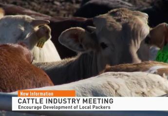 As Cattle Groups Making Unprecedented Move to Fight Market Monopoly, U.S. Lawmakers Also Push DOJ for Answers