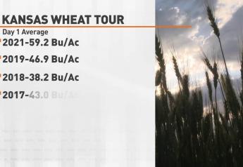 Kansas Wheat Tour Produces Surprises With Biggest First-Day Yield Results Since 2011
