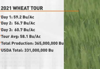Kansas Wheat Tour Scouts Find Highest Potential Wheat Yield in 21 Years