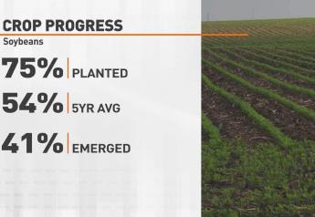 Despite Recent Rains, USDA Shows Corn Planting is Close to the Finish Line