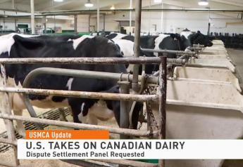As USMCA Dairy Dispute Plays Out, Here's Why It Could Be a Positive for U.S. Dairy Farmers