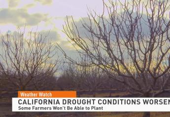 California Farmers Leave Fields Fallow as Drought Grows More Dire in West