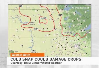 Farmers in Upper Midwest Try to Get Grasp On Crops Damaged By Frost