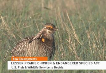 NCBA Warns Listing Lesser Prairie-Chicken as Endangered Could Harm Conservation Partnerships
