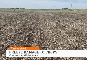 Iowa Farmer Forced to Replant as Late May Freeze Wiped Out Soybeans Planted into No-Till