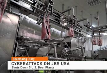 U.S. Cattle Slaughter Drops 27,000 Head as JBS Cyberattack Cripples Largest Beef Processor