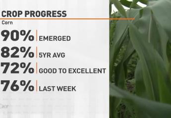 Corn Crop Condition Ratings Fall 4 Points, North Dakota in Worst Shape