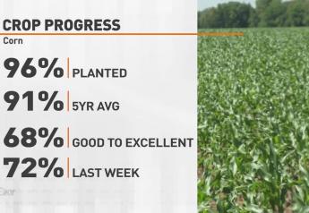 Iowa and Minnesota Corn Crop Conditions Down Double Digits in Weekly USDA Report