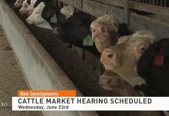 Senate Ag Committee Schedules New Hearing as Congress' Calls for Cattle Market Changes Continue