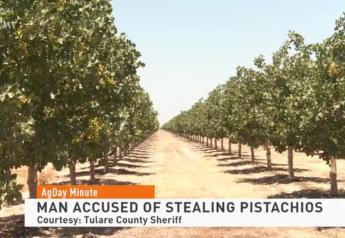 Pistachio Bandit: Police Arrest Man Accused of Stealing, Reselling 42,000 Pounds of Pistachios