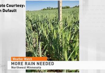 Weekend Wild Weather Brought Welcomed Rains and Crop Damage to Corn Belt