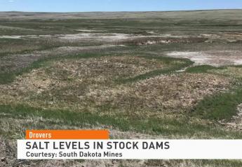From Emergency Haying and Grazing to Increased Salinity on Stock Dams, Drought Brings Challenges for Ranchers