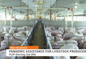USDA Announces New Financial Assistance for Livestock Producers Forced to Cull Animals During Pandemic