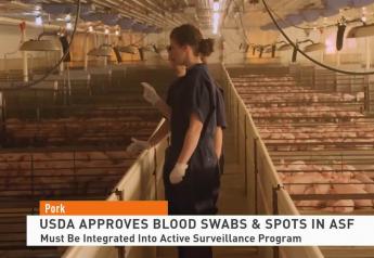 U.S. Continues to Take Steps to Keep African Swine Fever Out