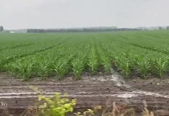 Iowa Farmers Continue to Repair Devastation One Year After Derecho Ravaged Farms and Fields