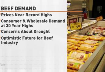 Consumer and Wholesale Beef Demand Hit 30-Year Highs Despite Near-Record Beef Prices