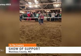 4-H Pig Sells for $17,500 in Memory of Madison Lee